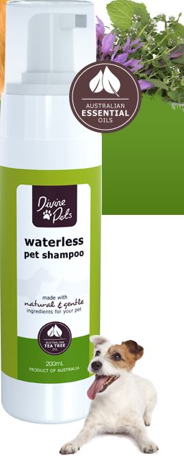 Divine Waterless Pet Shampoo