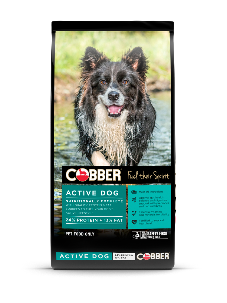 Cobber Active Dog Dry Food 20kg