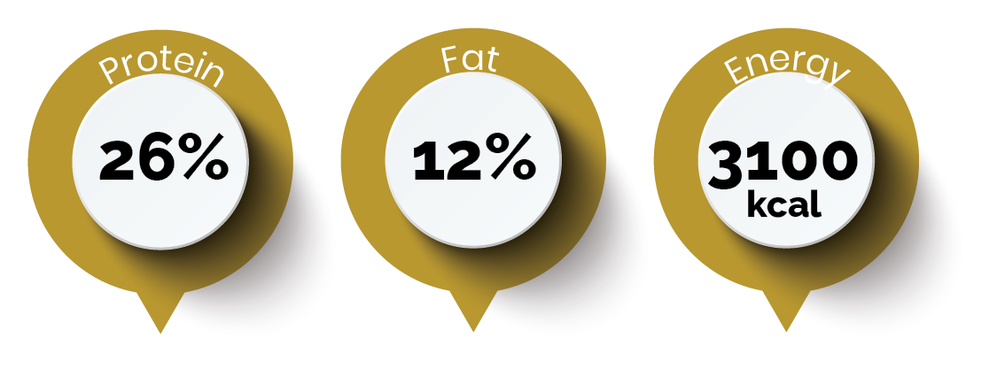 Enduro nutrition: protein 26%, fat 12%, energy 3100 kcal
