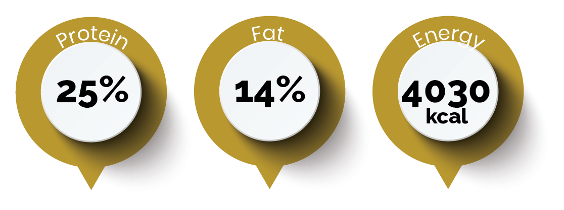 Enduro nutrition: protein 25%, fat 14%, energy 4030 kcal