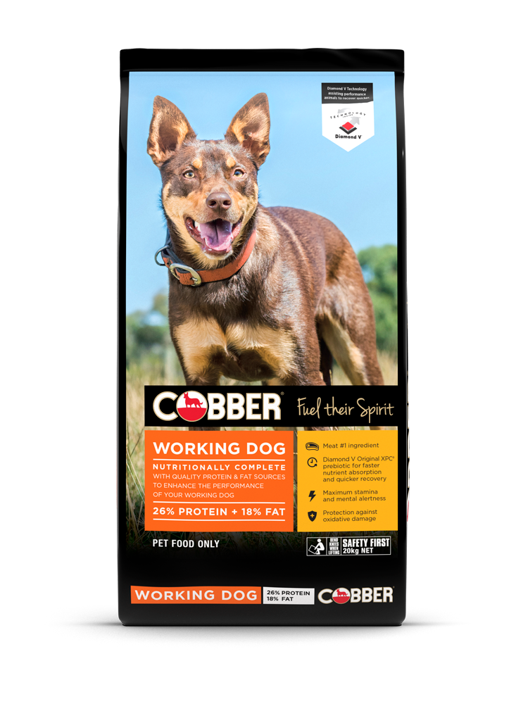 Cobber Working Dog Dry Food 20kg