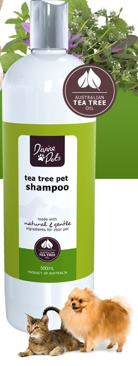 Divine Tea Tree Pet Shampoo 250ml