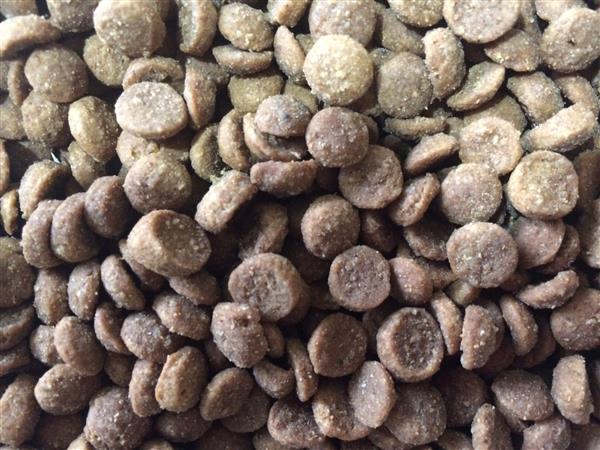 Kitty Kibble New Formula 20kg